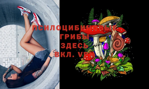 ALPHA PVP Нефтекумск