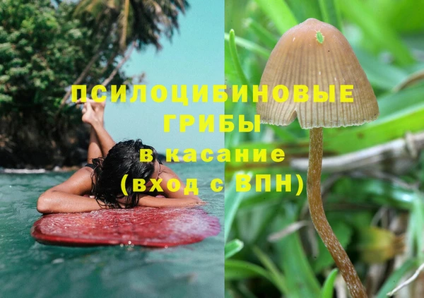 кокс Ельня