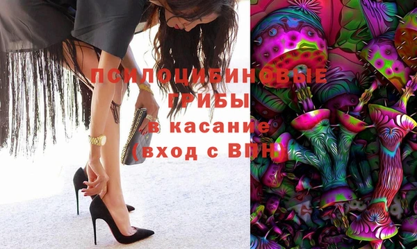 ГАЛЛЮЦИНОГЕННЫЕ ГРИБЫ Нея
