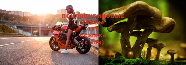Альфа ПВП Наволоки