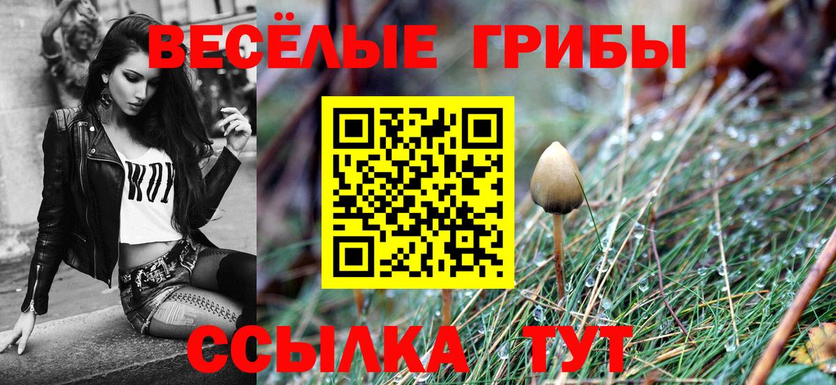 Псилоцибиновые грибы MAGIC MUSHROOMS Кировск