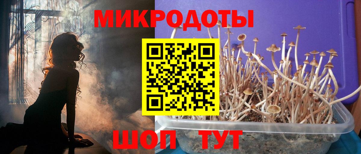 Псилоцибиновые грибы GOLDEN TEACHER Кировск